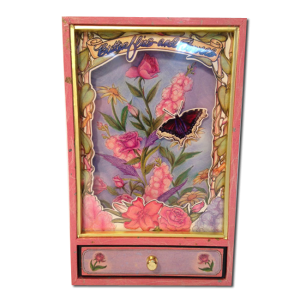 Floating Butterfly Shadow Box